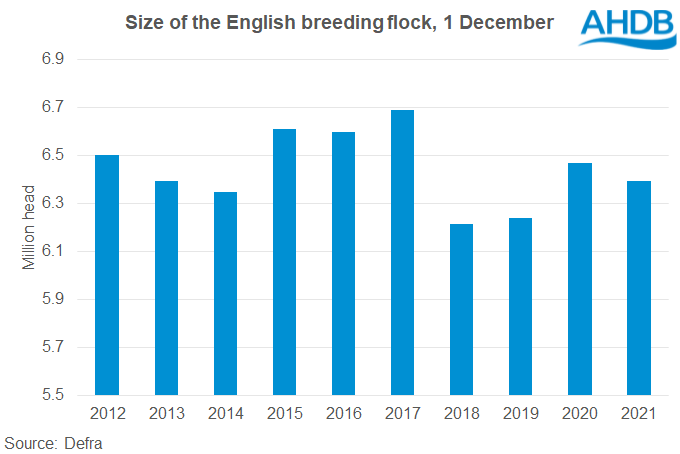 Chart showing the size of the English sheep ewe breeding flock 2021 - 2022